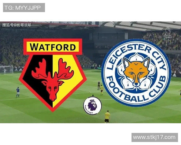 莱切斯特城重回英超,狐狸城庆祝晋级! 莱切斯特城重回英超,狐狸城庆祝晋级!